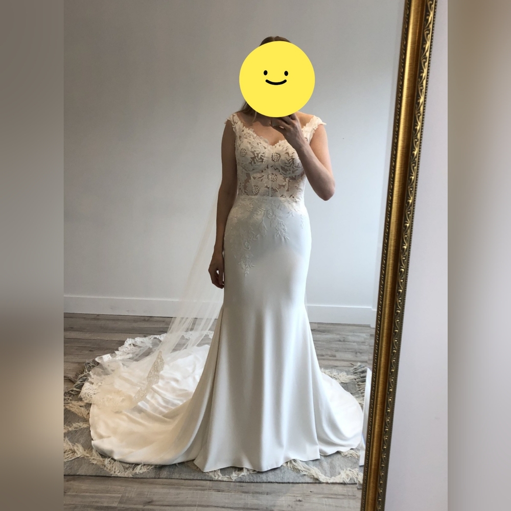 Pronovias Lace Wedding Dress